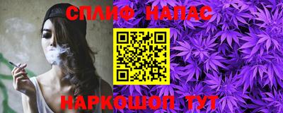 СК Гусь-Хрустальный